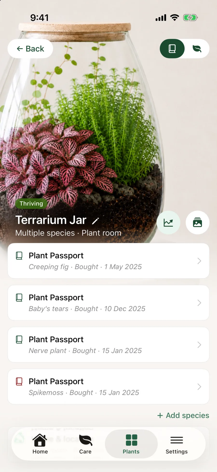 Liana showing a Terrarium Jar shared pot holding four plants, each with its own Plant Passport