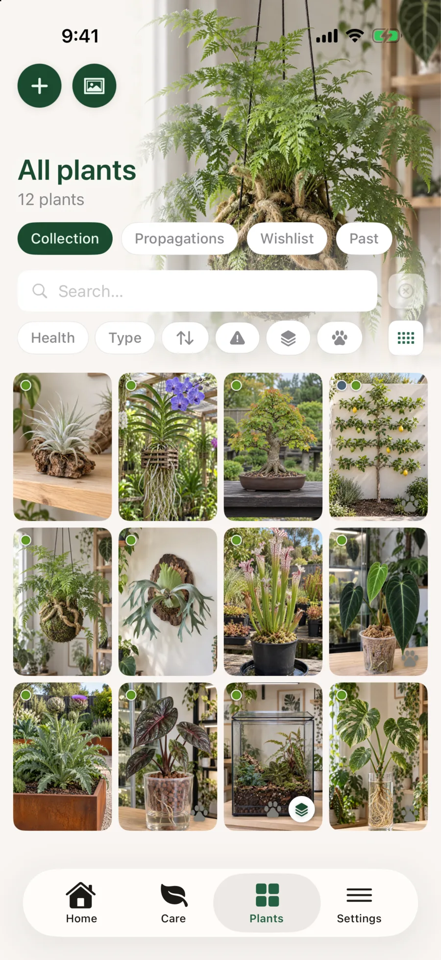 Liana All Plants screen showing air plants, mounted plants, carnivorous plants, a terrarium and a hydro plant