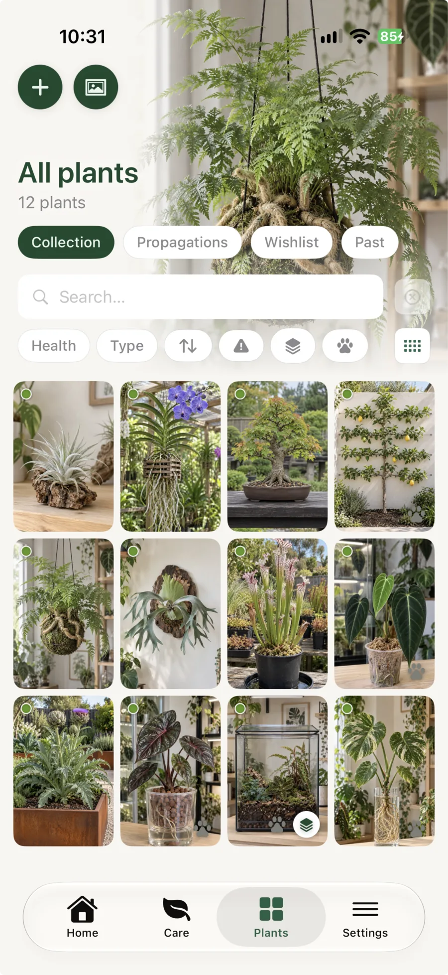 Liana All Plants screen showing air plants, a mounted plant, carnivorous plants, a terrarium, hydro and ordinary potted plants